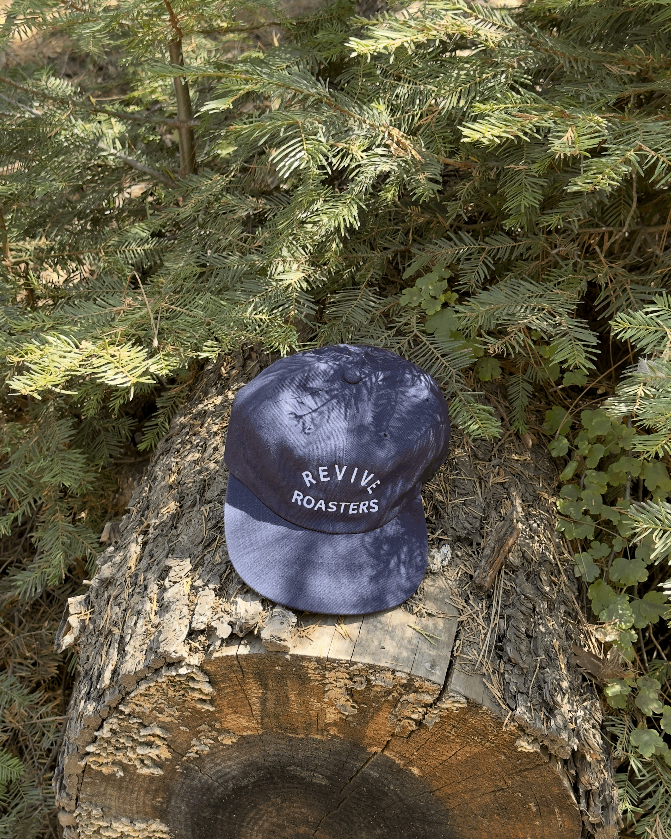 Revive Canvas Hat in Navy