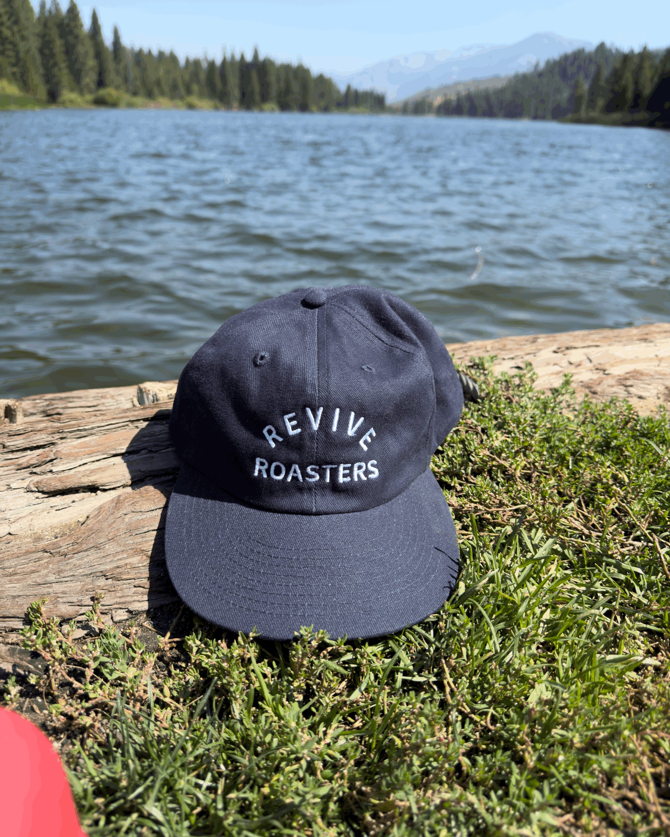 Revive Canvas Hat in Navy